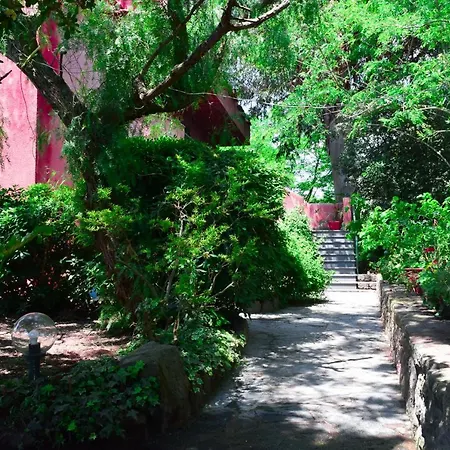 Il Giardino Selvatico Di Succellario - * Barano dʼIschia