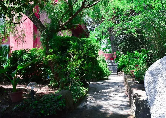Il Giardino Selvatico Di Succellario - * Barano dʼIschia